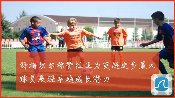舒梅切尔称赞拉亚为英超进步最大球员展现卓越成长潜力